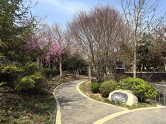 -大连金石滩绿发温泉假日酒店