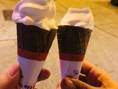 -富豪雪糕车流动点(尖沙咀店)