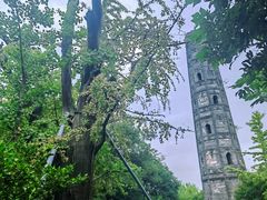 -上海佘山国家森林公园天马山园