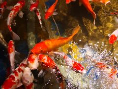 -太平洋海底世界