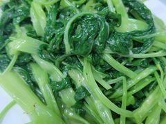 -新陶陶酒家