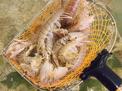 -岛中岛·海鲜大排档·万宁老字号(东澳店)