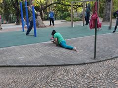-晓港公园