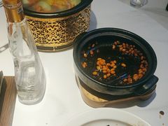 -新概念来凤鱼(璧山店)