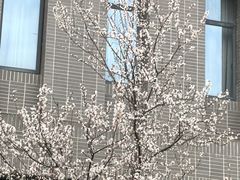 -南京邮电大学(仙林校区)