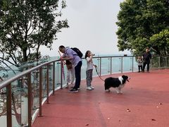 -铁山坪森林公园