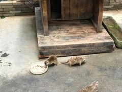 -呀诺达热带雨林