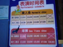 -石家庄海洋公园