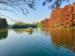 -上海海湾国家森林公园