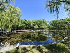 -玲珑塔公园