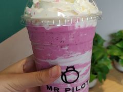 -飞行喵MR PILOT|猫舍·猫咖(静安大融城店)