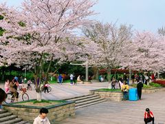 -玉山公园