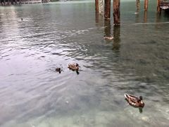-柯尼希湖