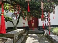 -东山风景区(洞庭东山)