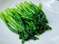 -食神鱼头佛跳墙(百子湾旗舰店)