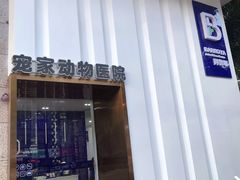-拜鲁耶动物诊疗中心·宠家动物医院