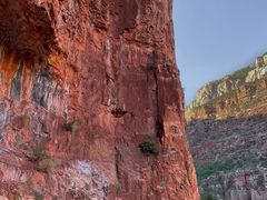 -科罗拉多大峡谷