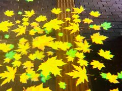 -三里屯太古里