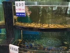 水产区-莆鑫海鲜城(浏河店)