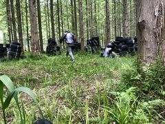 -黄海国家森林公园