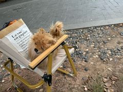 -火车头法国西餐厅