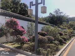 -梧桐山风景名胜区