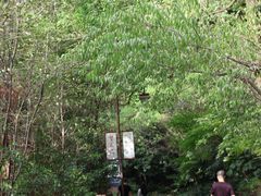 -杭州半山国家森林公园