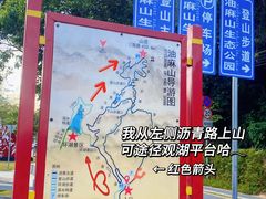 -黄埔油麻山森林公园