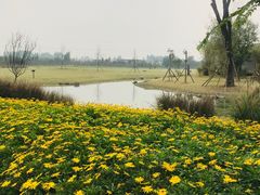 -夏河溪乡野公园