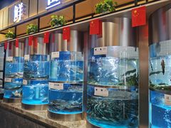 -老船舫·现做活鲜鱼馆(东郊记忆店)