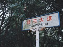 -武汉大学-樱园