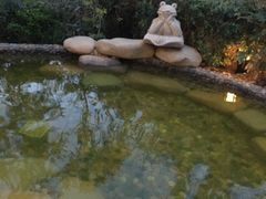 -天目湖涵田半山温泉水乐园