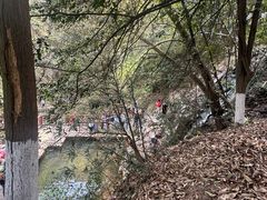 -莫干山风景区