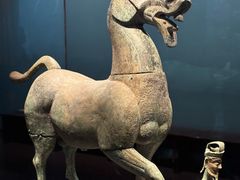 -广西壮族自治区博物馆