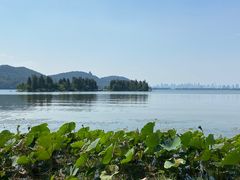 -东湖落雁景区