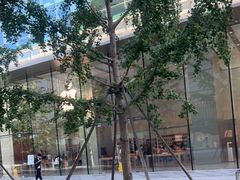 -Apple零售店(华贸购物中心店)