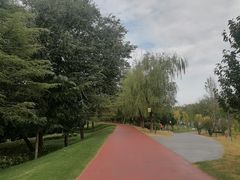 -渭滨公园