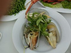 -越海渔村