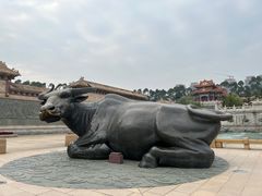 -广东圆玄道观