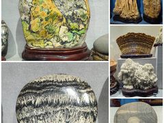 -河南自然博物馆