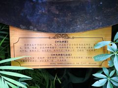 -花之城