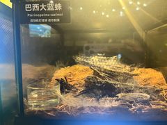 -太平洋海底世界