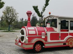 -漩门湾国家湿地公园