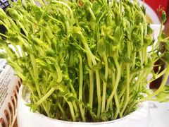 活体豆苗-笨小满·钱缸缸火锅(江汉路M+店)