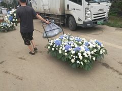 -三圣花乡旅游区