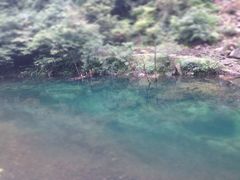 iphone_upload_pic-白云源风景区