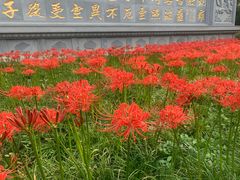 -西安大兴善寺