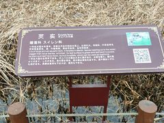 -苏州东太湖生态园