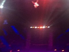 -珠海横琴长隆《卡卡虎奇遇记》