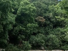 -北京西山国家森林公园